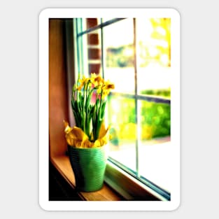 Daffodils On The Windowsill Sticker